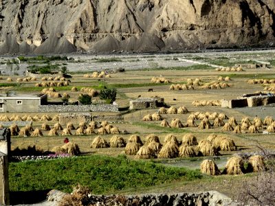 Shimshal Village