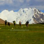 shimshal pass (Pamir )