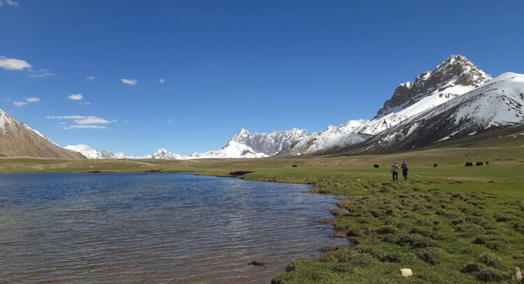 best services of Shimshal pass trek and Minglik sar climb in summer 2024